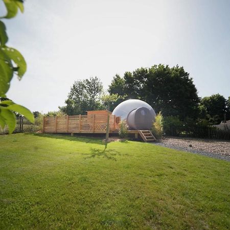 Bulles Odette & Ginette Et Tiny House Suzette "Au Guet Marais" Etape Insolite Paliseul المظهر الخارجي الصورة