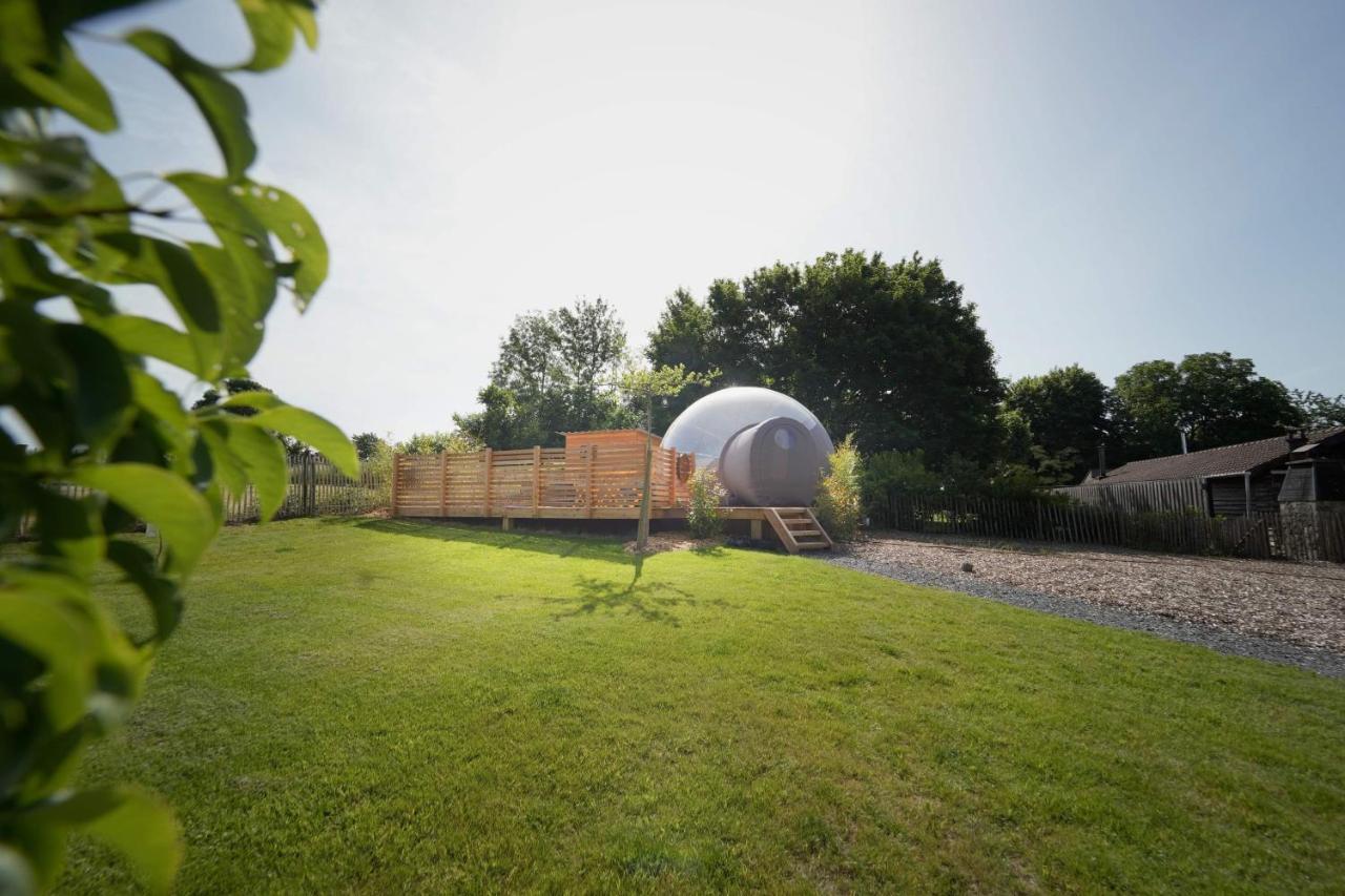 Bulles Odette & Ginette Et Tiny House Suzette "Au Guet Marais" Etape Insolite Paliseul المظهر الخارجي الصورة