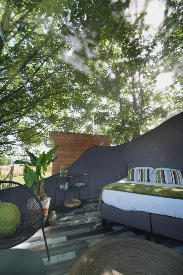Bulles Odette & Ginette Et Tiny House Suzette "Au Guet Marais" Etape Insolite Paliseul المظهر الخارجي الصورة