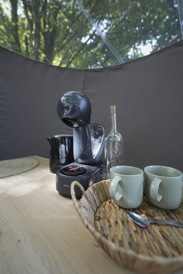 Bulles Odette & Ginette Et Tiny House Suzette "Au Guet Marais" Etape Insolite Paliseul المظهر الخارجي الصورة