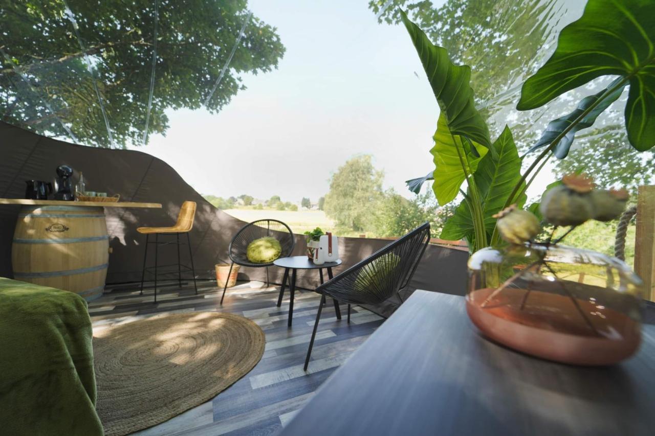 Bulles Odette & Ginette Et Tiny House Suzette "Au Guet Marais" Etape Insolite Paliseul المظهر الخارجي الصورة