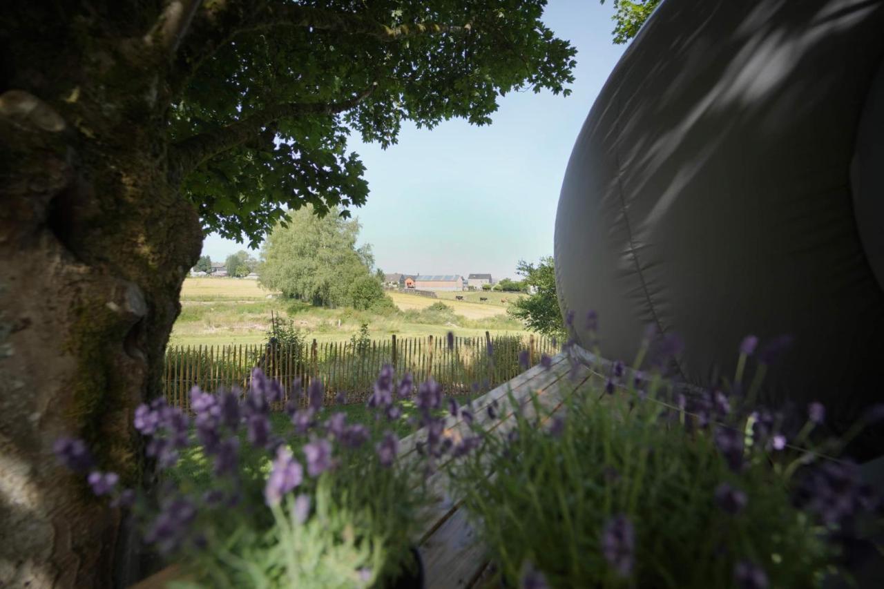 Bulles Odette & Ginette Et Tiny House Suzette "Au Guet Marais" Etape Insolite Paliseul المظهر الخارجي الصورة