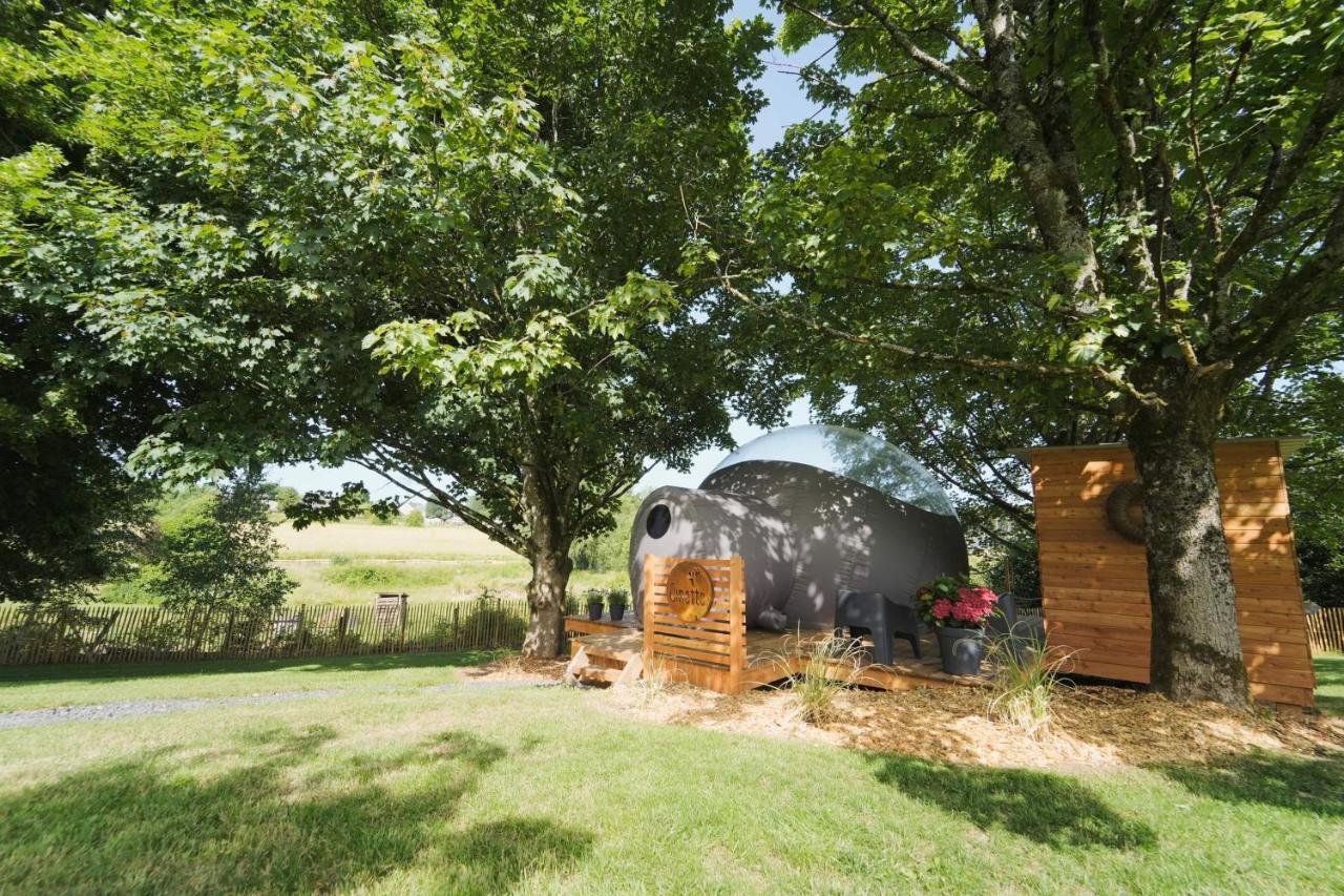 Bulles Odette & Ginette Et Tiny House Suzette "Au Guet Marais" Etape Insolite Paliseul المظهر الخارجي الصورة